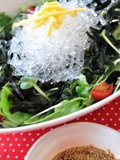 ワカメと海藻たっぷり野菜の中華サラダ♪-レシピのメイン写真