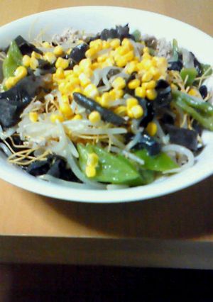 かた焼きそば風☆パリ麺-レシピのメイン写真