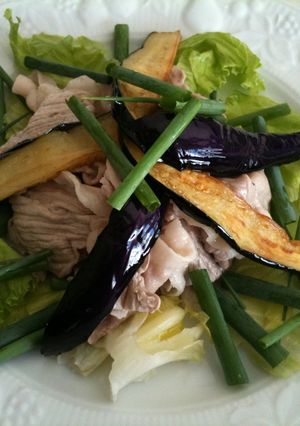 豚肉の冷やしシャブ☆たっぷり野菜添え-レシピのメイン写真