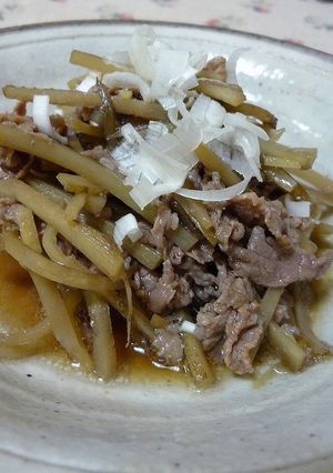 ＜厳選食堂＞　牛ごぼう煮-レシピのメイン写真