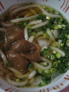 さっぱり☆梅うどん-レシピのメイン写真