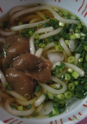 さっぱり☆梅うどん-レシピのメイン写真