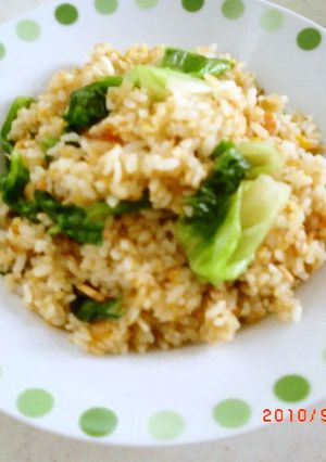 シャキッと鮭チャーハン♪-レシピのメイン写真