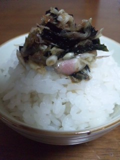 みょうがのっけ飯-レシピのメイン写真
