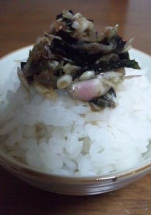 みょうがのっけ飯-レシピのメイン写真