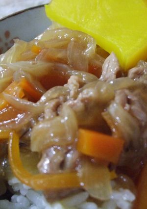 いつもの親子を豚肉に変えた丼♪-レシピのメイン写真