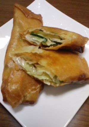 ★うちんちの味 春巻★-レシピのメイン写真