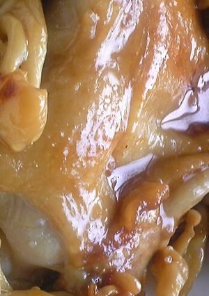 トロトロ柔らか10分鶏モモ酢っぱり煮-レシピのメイン写真