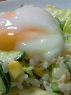 火を使わずできるサラダライス-レシピのメイン写真
