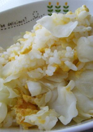 やさしい味♡キャベツ炒飯-レシピのメイン写真