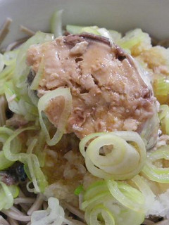 サバおろしぶっかけ蕎麦-レシピのメイン写真