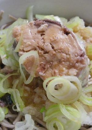 サバおろしぶっかけ蕎麦-レシピのメイン写真
