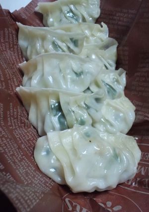 野菜たっぷりのヘルシー餃子-レシピのメイン写真