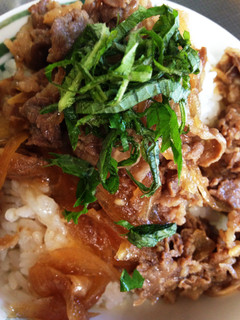 つゆ少なめ★牛丼-レシピのメイン写真