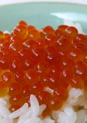 簡単♥♡筋子からイクラ（甘め醤油漬け）-レシピのメイン写真