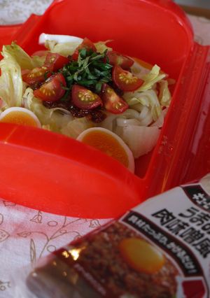 ルクエde簡単☆肉味噌のせうどん♪-レシピのメイン写真