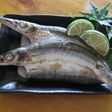 今が旬!!カマスの干物