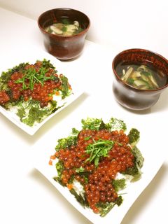 イクラづけ 母直伝編-レシピのメイン写真