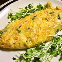 基本からアレンジまで！思わずつくりたくなる「卵 ツナ オムレツ」の