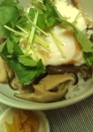 旨い!安い!!早い!!!きのこ丼☆-レシピのメイン写真