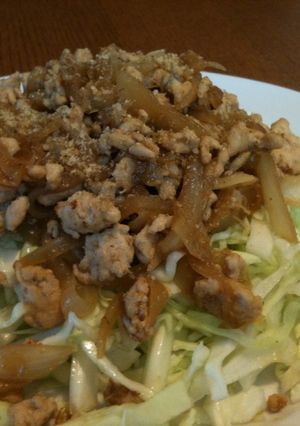 キャベツを食べよう！鶏と玉葱の生姜焼き-レシピのメイン写真