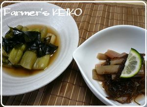 【農家のレシピ】ずいきの煮物と酢の物-レシピのメイン写真