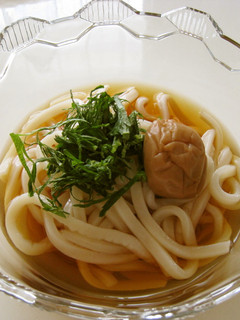 梅しそぶっかけうどん-レシピのメイン写真
