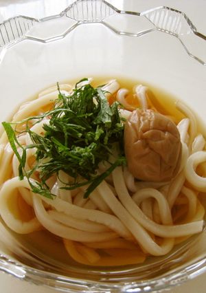 梅しそぶっかけうどん-レシピのメイン写真