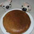 おからケーキ『抹茶カステラ風味』