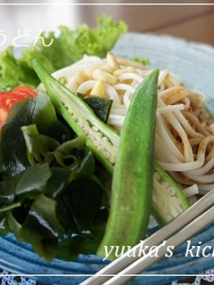 ごまポン酢で食べる冷やしうどん-レシピのメイン写真