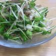 ビールによくあう!万能ねぎの中華風サラダ