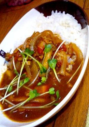 ちょうど二人分のさっぱりランチカレー♪-レシピのメイン写真