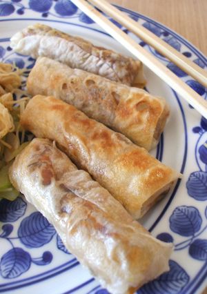 残り野菜で春巻き-レシピのメイン写真