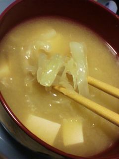 みょうがとキャベツの味噌汁-レシピのメイン写真