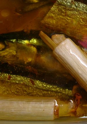 秋刀魚のオイル煮（オーブン焼き）-レシピのメイン写真