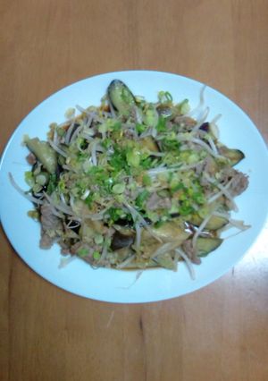 茄子と豚肉のあっさりポン酢-レシピのメイン写真