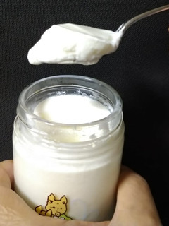 1人分のヨーグルトの作り方-レシピのメイン写真