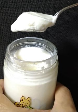 １人分のヨーグルトの作り方-レシピのメイン写真