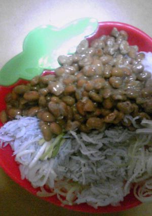 納豆しらす御飯-レシピのメイン写真