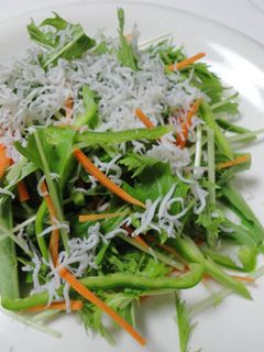水菜としらすの生野菜サラダ-レシピのメイン写真