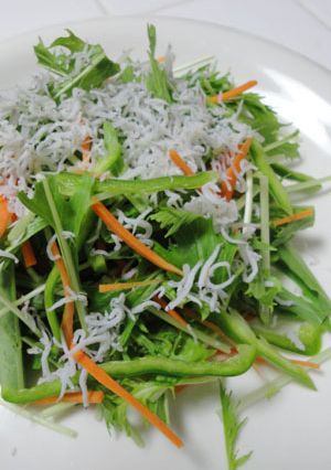 水菜としらすの生野菜サラダ-レシピのメイン写真