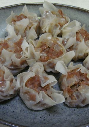 玉ねぎとミンチだけ☆めちゃうましゅうまい-レシピのメイン写真
