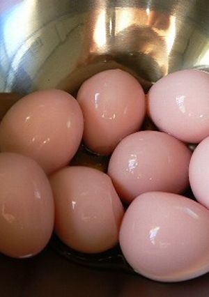 うずら卵の梅酢漬け-レシピのメイン写真