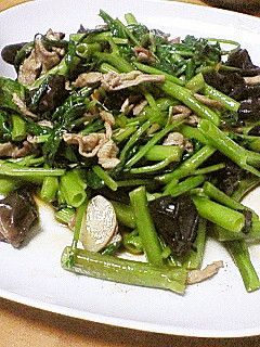 空芯菜と豚肉☆オイスターソース炒め-レシピのメイン写真