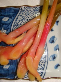 ☆葉しょうがの甘酢漬け☆-レシピのメイン写真