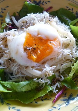 サラダうどん☆-レシピのメイン写真