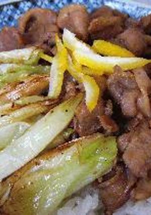 鴨ねぎ丼-レシピのメイン写真