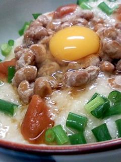 簡単さっぱり 青じそドレでとろろ納豆ご飯-レシピのメイン写真