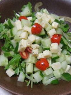 さっぱり簡単チーズサラダ-レシピのメイン写真