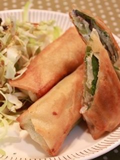 イワシの春巻き-レシピのメイン写真